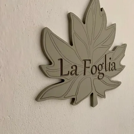 La Foglia *